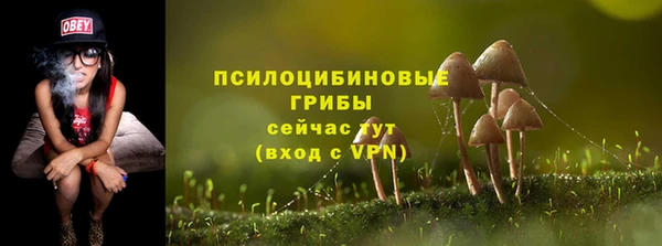 метадон Нягань