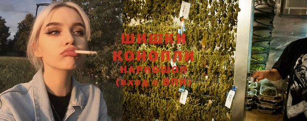 ГАЛЛЮЦИНОГЕННЫЕ ГРИБЫ Новодвинск