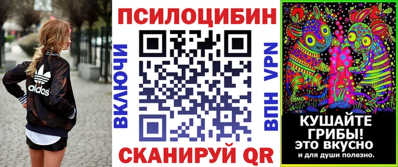 блэк спрут ССЫЛКА  Почеп  Галлюциногенные грибы прущие грибы 